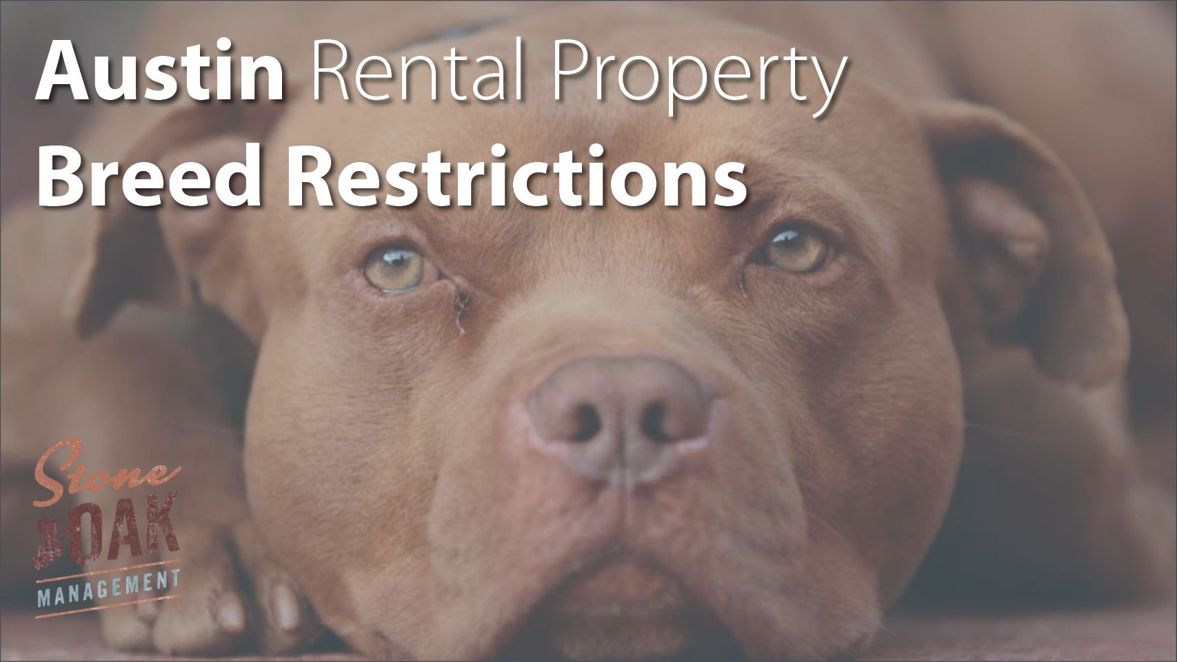dog being restricted from a rental home