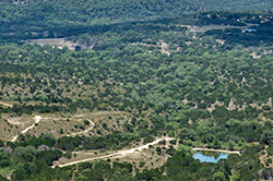 Rollingwood neighborhood in Austin Texas